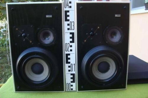 BOXE DYNAUDIO P16