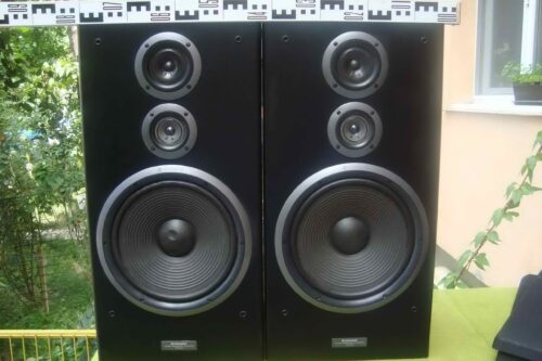 BOXE PIONEER CS-901