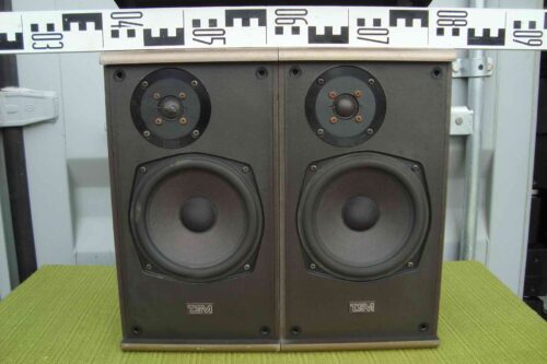 BOXE TSM HIFI LAUTSPRECHER PURIS 100